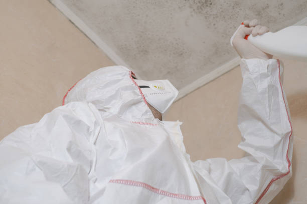 Why You Should Choose Our Mold Remediation Services in Kodiak Station, AK